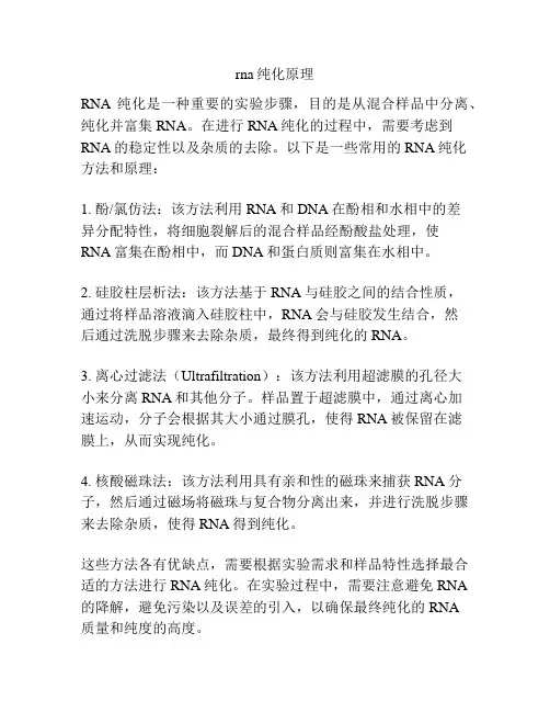 rna纯化原理