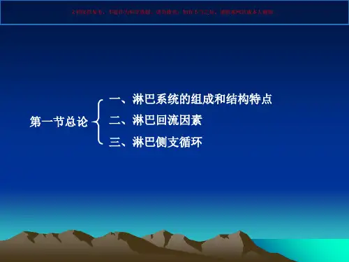 解剖学淋巴系统课件
