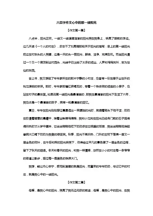 六百字作文心中的那一缕阳光