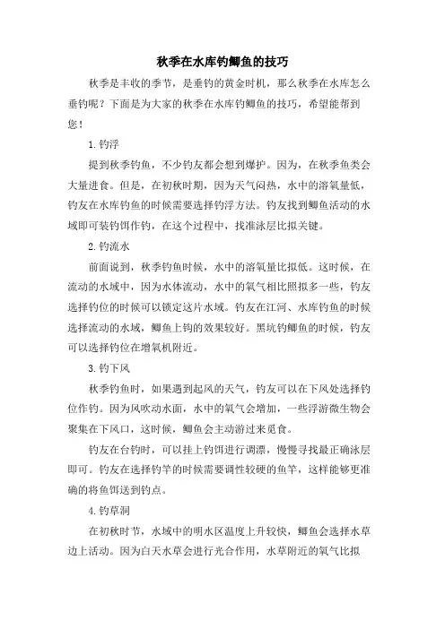 秋季在水库钓鲫鱼的技巧