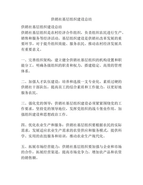 供销社基层组织建设总结