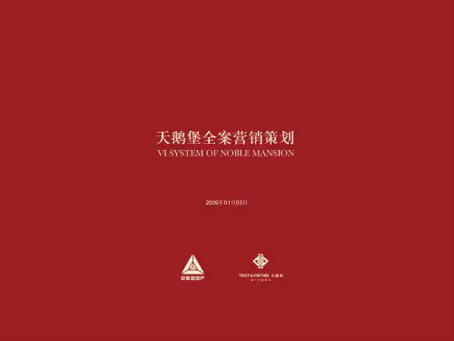 新天鹅堡全案营销策2