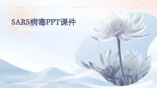 sars病毒ppt课件