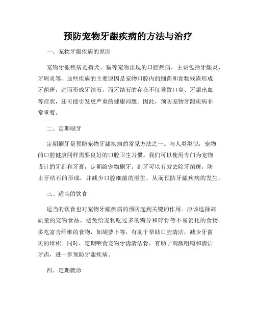 预防宠物牙龈疾病的方法与治疗