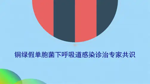 铜绿假单胞菌下呼吸道感染诊治专家共识(共24张PPT)