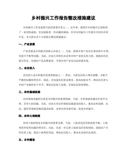 乡村振兴工作报告整改措施建议