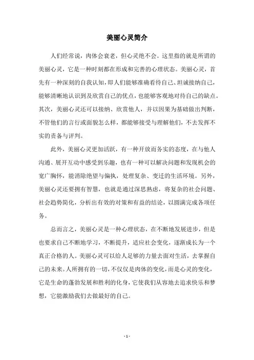 美丽心灵简介