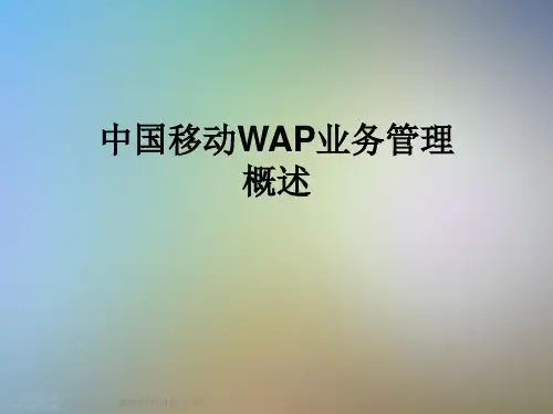 中国移动WAP业务管理概述