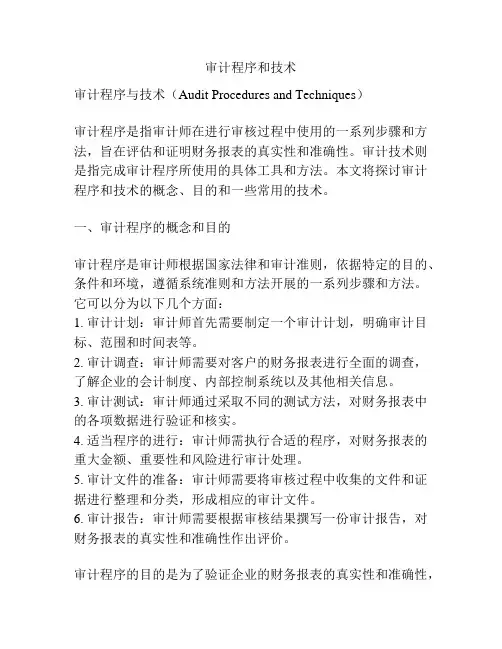 审计程序和技术