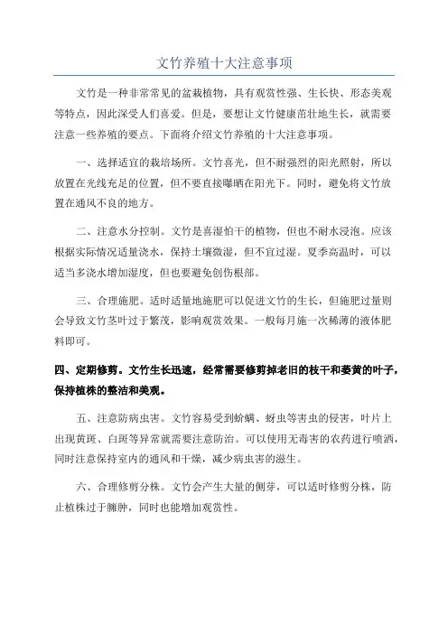 文竹养殖十大注意事项