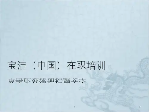 《宝洁公司在职培训》PPT课件