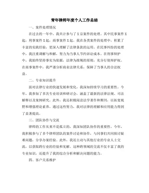 青年律师年度个人工作总结