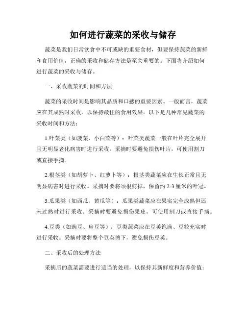 如何进行蔬菜的采收与储存