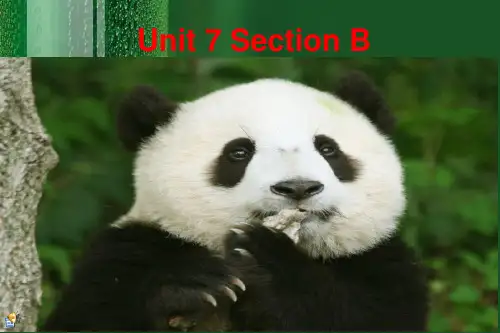 英语人教版最新八年级英语下册《Unit7_What’s_the_highest_mountain_in_the_world_Section_B》课件