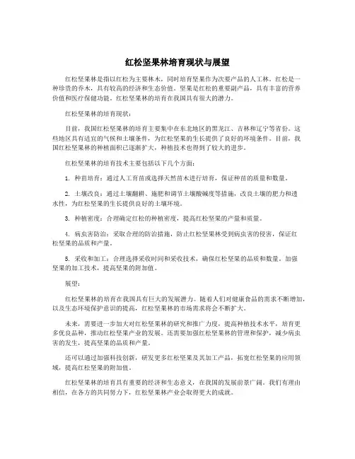 红松坚果林培育现状与展望