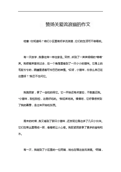 赞扬关爱流浪猫的作文