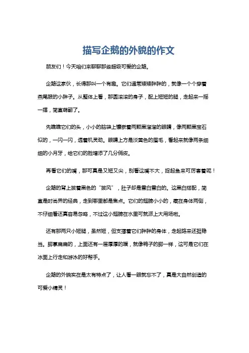 描写企鹅的外貌的作文