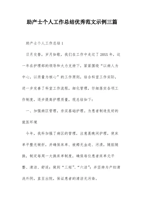 助产士个人工作总结优秀范文示例三篇