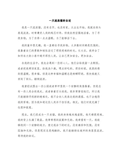 一只流浪猫的自述