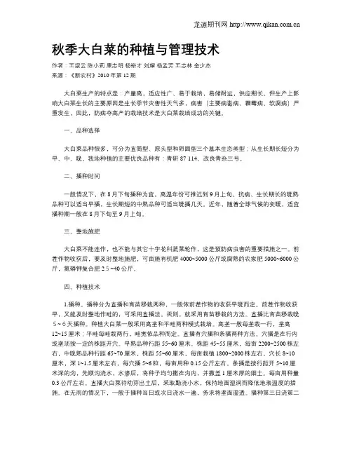 秋季大白菜的种植与管理技术