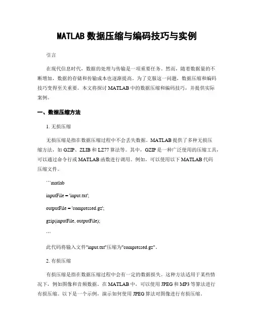 MATLAB数据压缩与编码技巧与实例