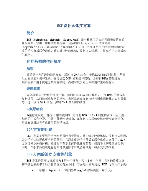 ecf是什么化疗方案