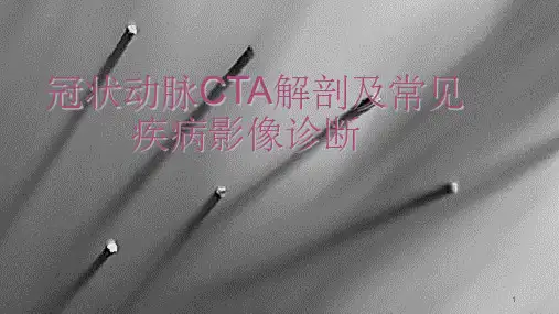 冠状动脉CTAppt课件