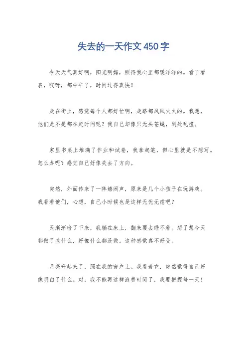 失去的一天作文450字