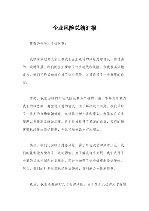 企业风险总结汇报