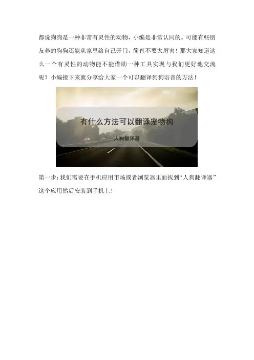 有什么方法可以翻译宠物狗