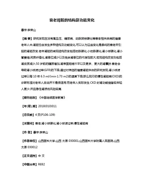衰老肾脏的结构及功能变化