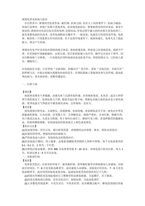 黄缘龟常见疾病与防治