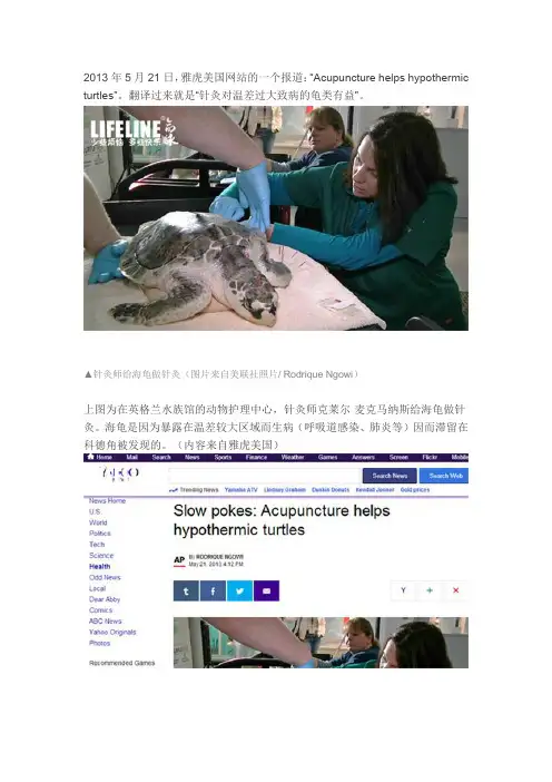 什么,针灸？龟类也可针灸？嗯,墙内开花墙外香