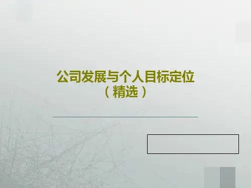 公司发展与个人目标定位(精选)15页PPT