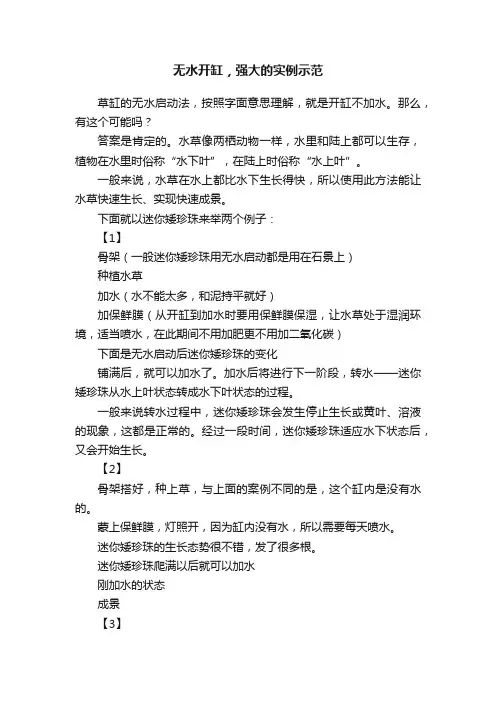 无水开缸，强大的实例示范