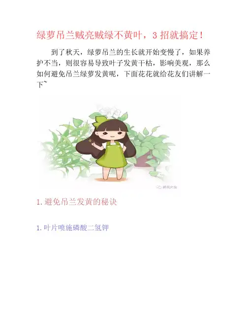 绿萝吊兰贼亮贼绿不黄叶,3招就搞定!