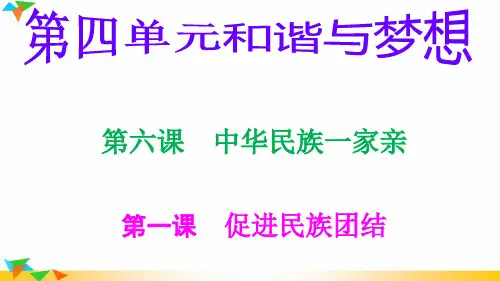 部编人教版九年级道德与法治上册7.1促进民族团结(19张PPT)