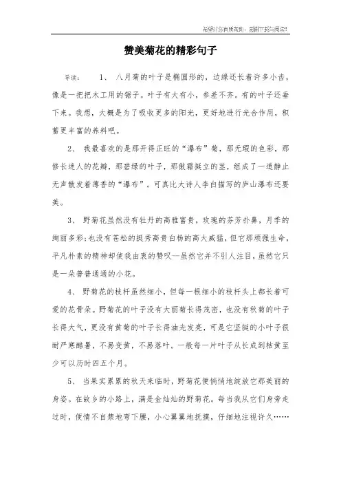 赞美菊花的精彩句子
