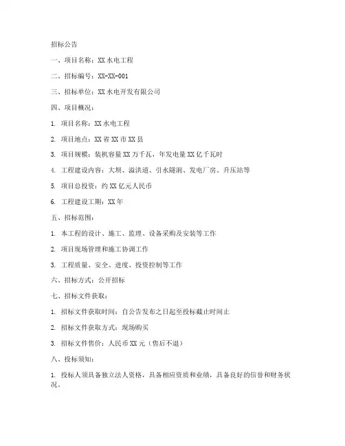 水电工程的招标文件