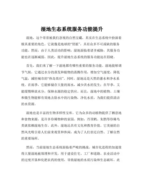 湿地生态系统服务功能提升