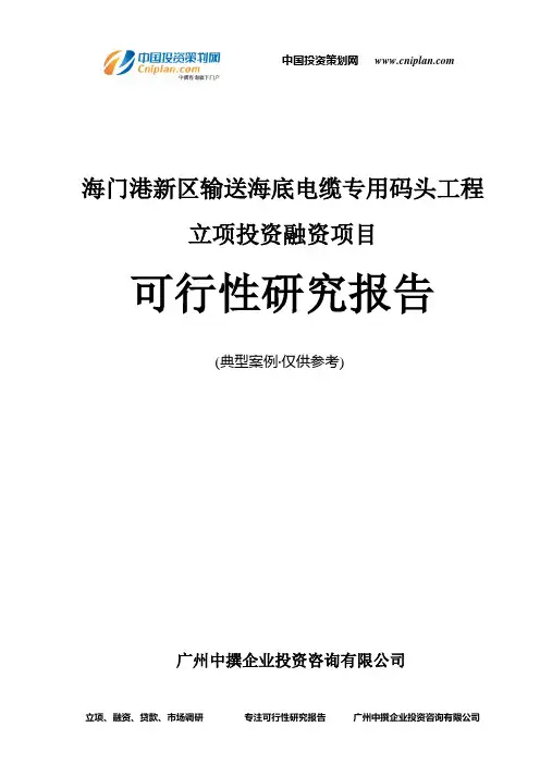 海门港新区输送海底电缆专用码头工程融资投资立项项目可行性研究报告(非常详细)