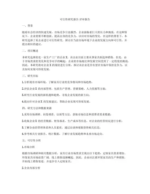 可行性研究报告 评审报告