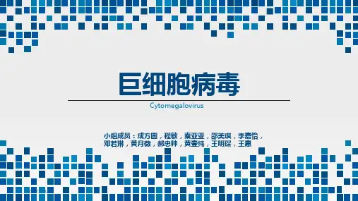 巨细胞病毒PPT课件
