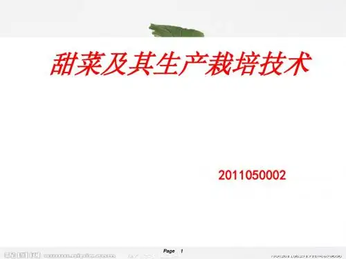 甜菜栽培技术概述(ppt 45页)