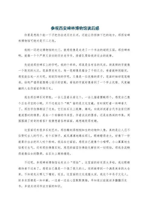 参观西安碑林博物馆读后感