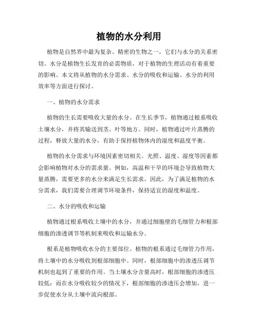 植物的水分利用