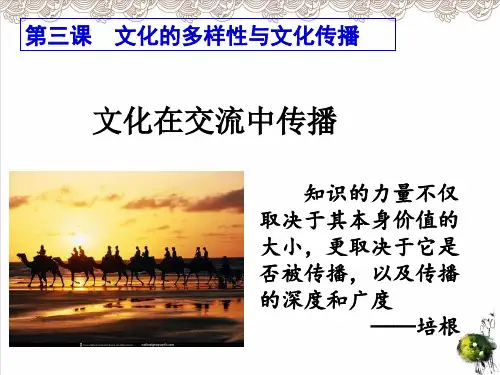 人教版《文化在交流中传播 》PPT课件2