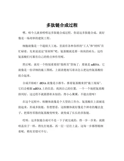 多肽链合成过程