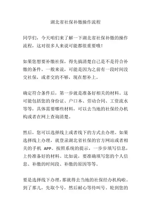 湖北省社保补缴操作流程