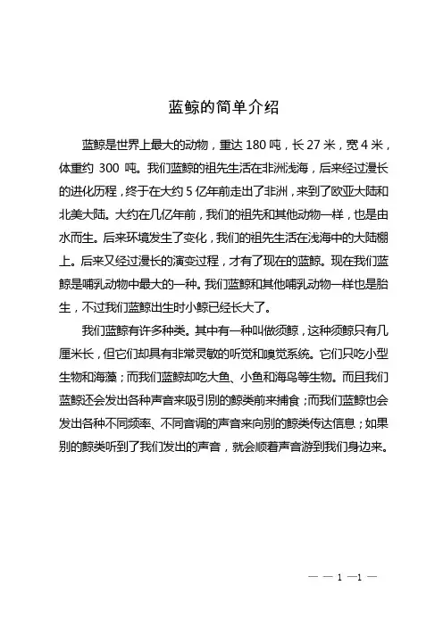 蓝鲸的简单介绍